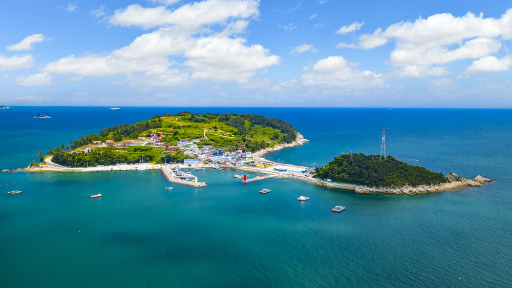 May Travel in Gyeongnam: From Changwon Sea Squirt to Geoje Isudo Island