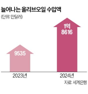 올레샷 열풍에 올리브오일 수입액 역대 최대, 공복 루틴이 바꾼 식탁
